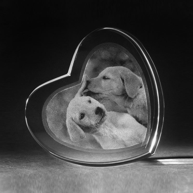 3D Kristall Herz mit 2D Glasfoto Hundewelpen