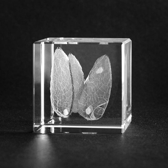 3D Glas anatomisches Modell: Schilddrüse