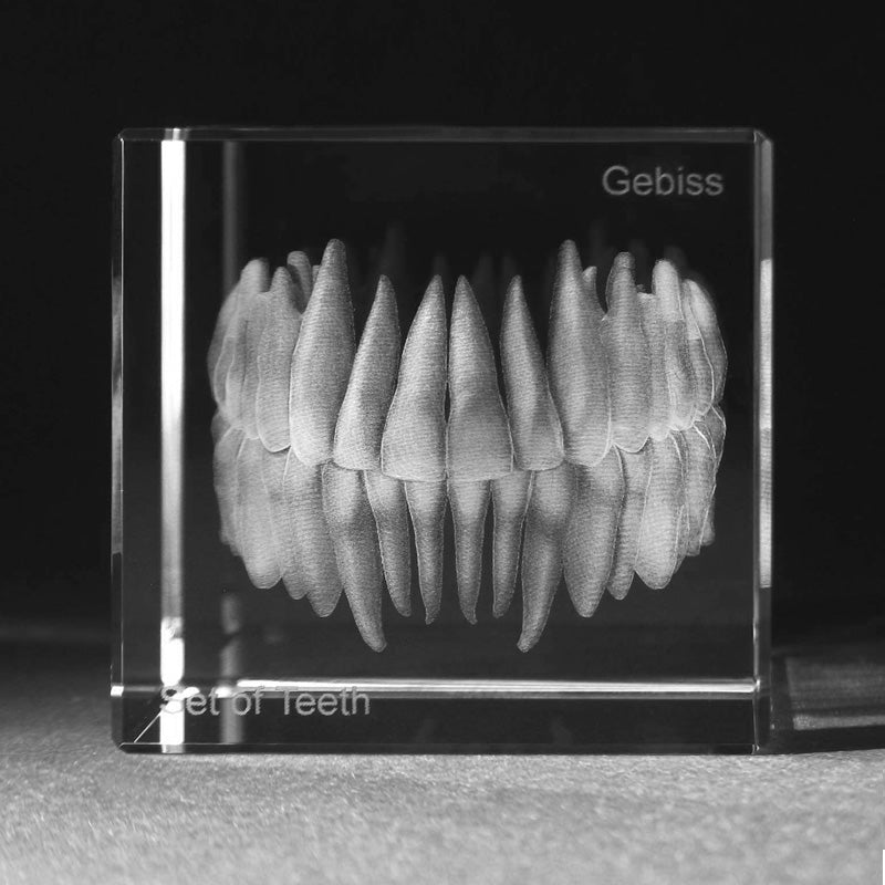 3D Gebiss