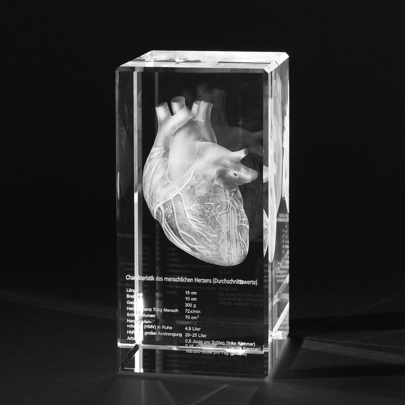Menschliches Herz mit Eigenschaften 3D in Glas gelasert. 3D Crystal Anatomie Motive