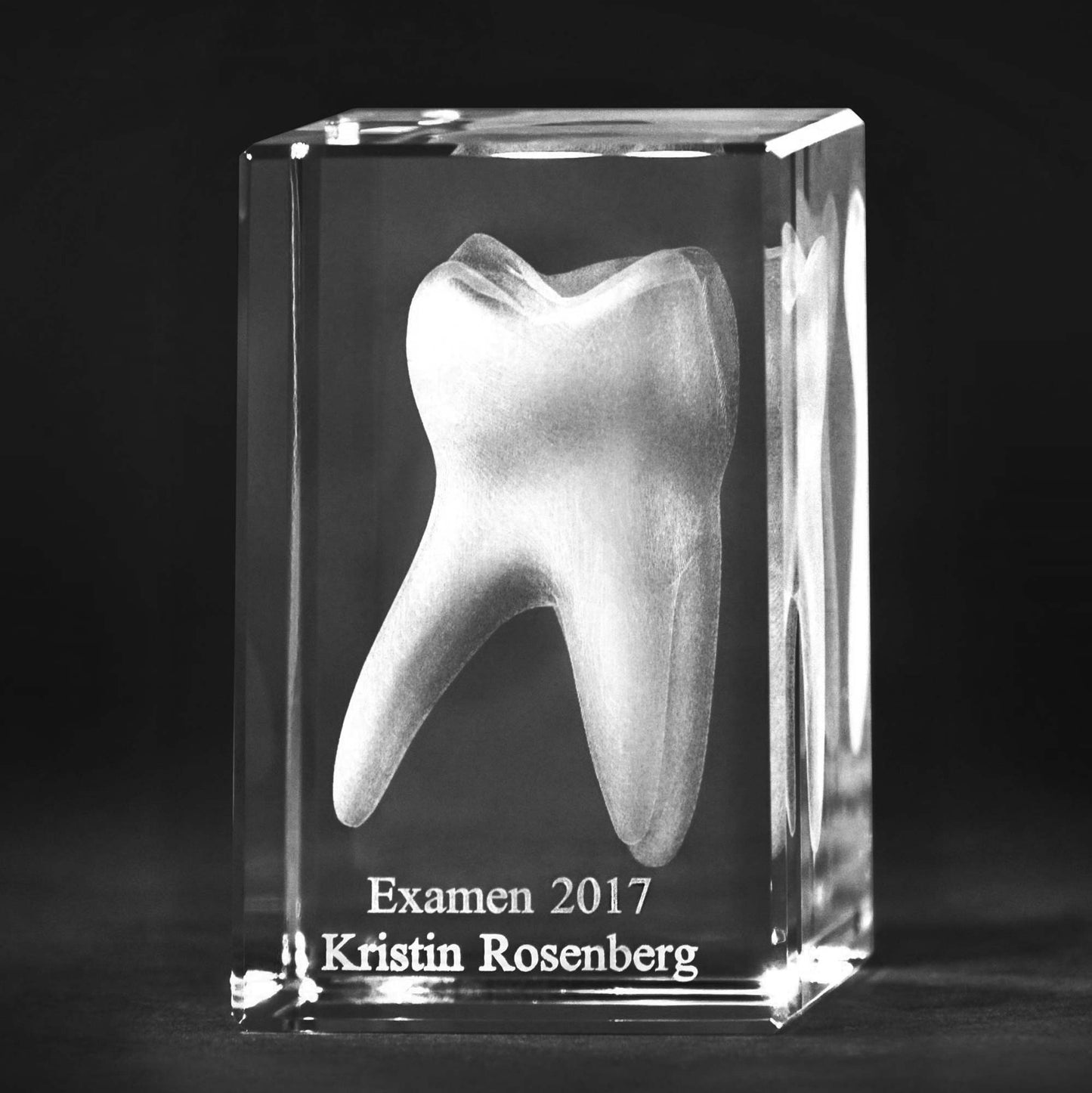 3D Backenzahn Molar
