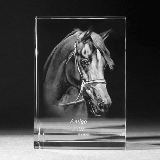 2D Glasfoto, Laserbild vom Foto in Kristall Glas, Bildaufsteller groß. 3D Crystal Tierportrait