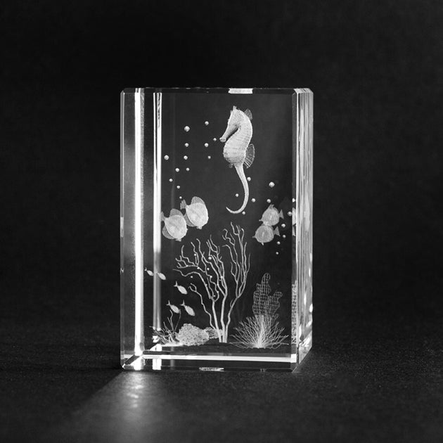 3D Glas Seepferdchen in Unterwasserwelt