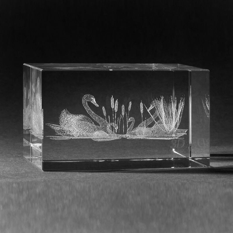 3D Laserglas mit Schwänen. Motiv Schwanensee in 3D Glas