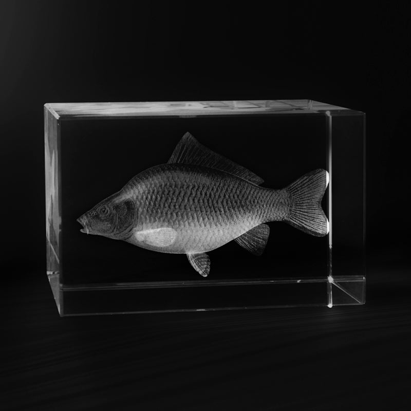 3D Karpfen in Laserglas