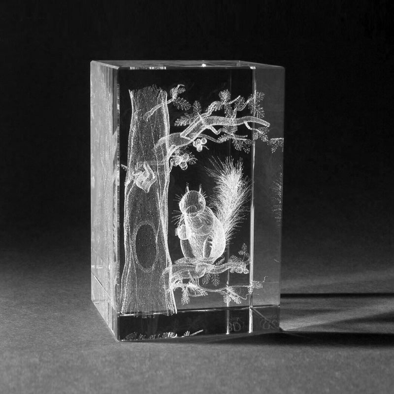 3D Laserglas mit Gravur. Motiv Eichhörnchen 3D Glas