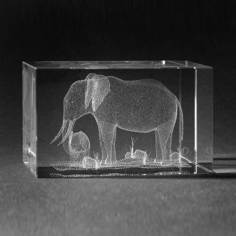 3D Lasergravur Tiere - Elefant mit Baby in 3D Glas