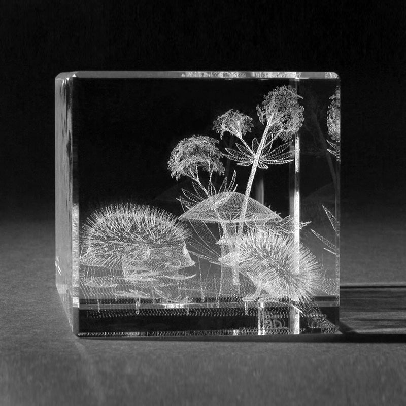 3D Laserglas mit Motiv Zwei Igel, by 3D Crystal