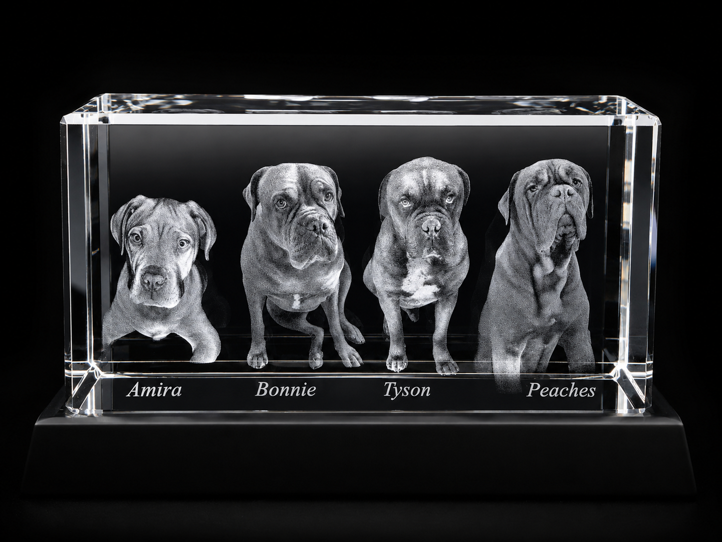 3D Laser Foto im Kristallglas 130x70x60 mm (1-6 Personen)
