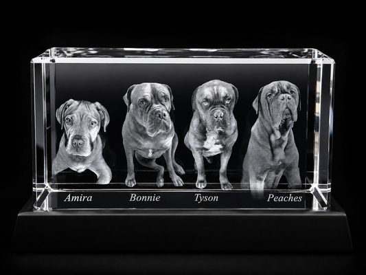 3D Laser Foto im Kristallglas 130x70x60 mm (1-6 Personen)