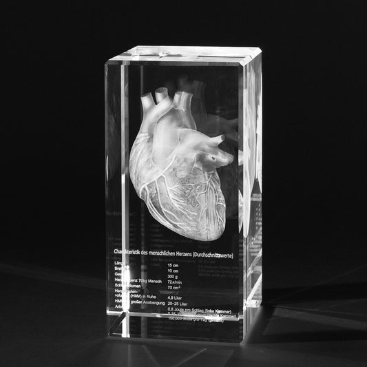 Menschliches Herz mit Eigenschaften 3D in Glas gelasert. 3D Crystal Anatomie Motive