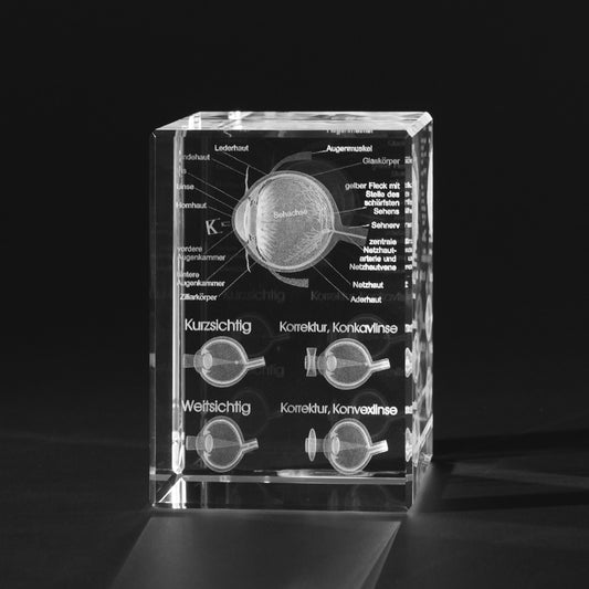 3D Menschliches Auge mit Sehkorrektur, Augenmodell für Augenärzte in Glas