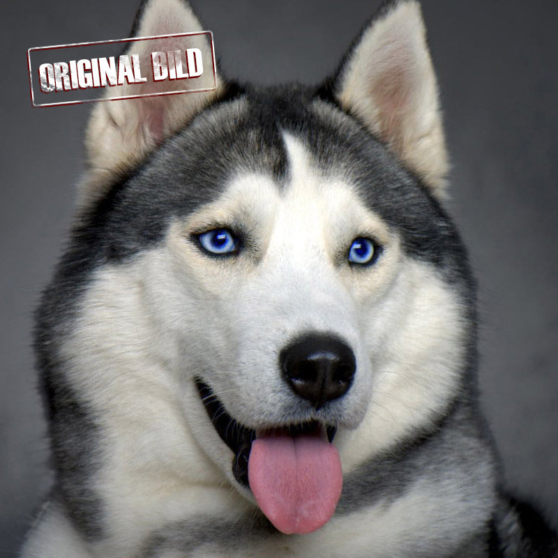2D Foto vom Hund wird zum 3D Foto aus Kristallglas