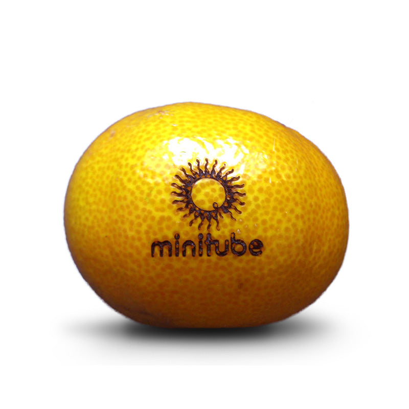 Logo Obst, Gravierte Promotion Mandarine